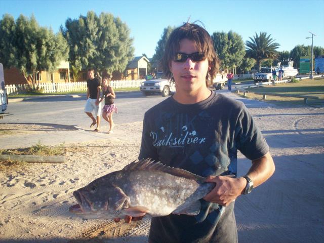 Rankin cod Rankin cod