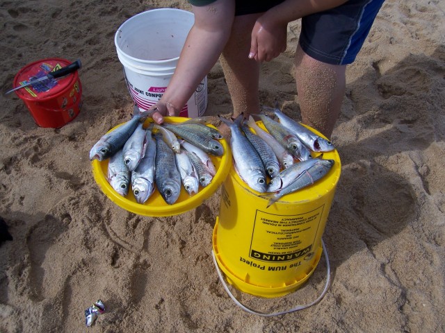 white hills white hills