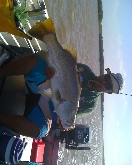 wat a magnificent 87cm speciman wat a magnificent 87cm speciman