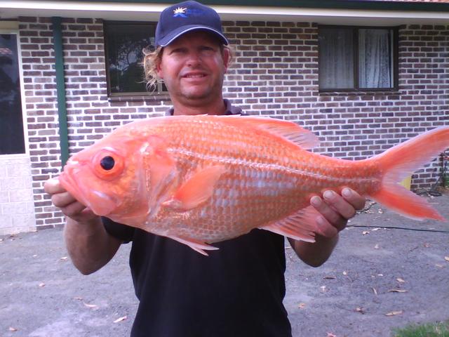 good nanny from 2day good nanny from 2day