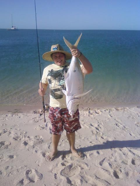 Shark Bay Golden Trevally Shark Bay Golden Trevally