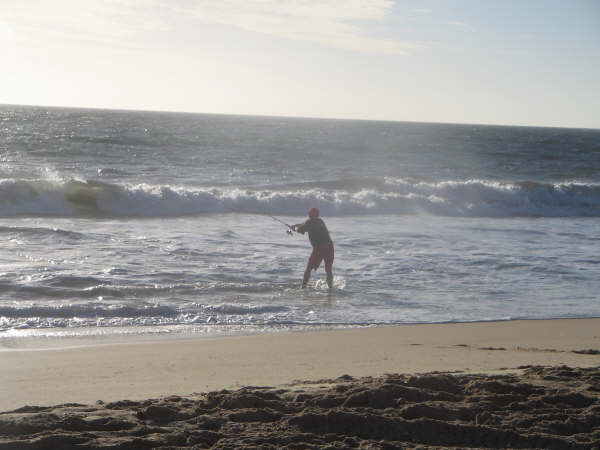 Come on sumfin Bite !!!