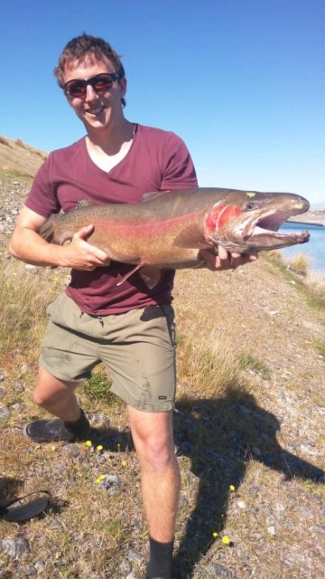 Big n/zealand rainbow Big n/zealand rainbow