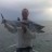 connors exmouth marlin