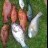 A good day on the water A good day on the water