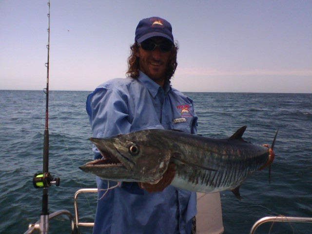 shombys pics shombys pics