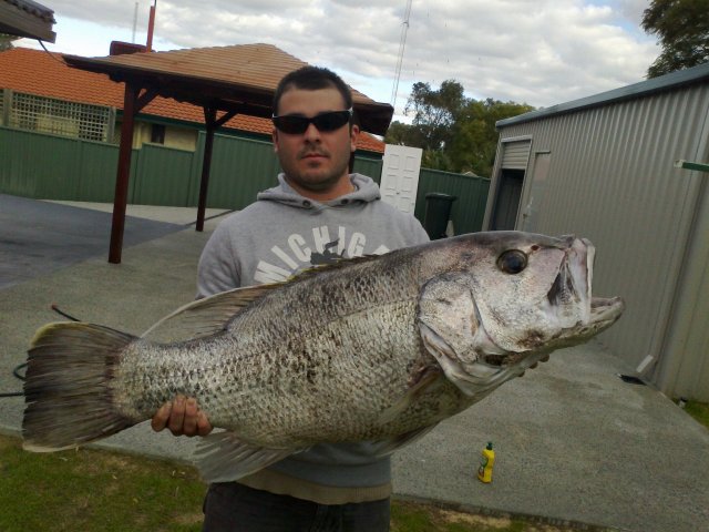 17/20 kg dhuie befor rotto