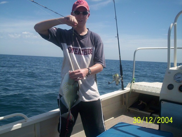 What fish is this? What fish is this?