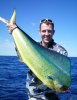 Lurcha's Dolphinfish