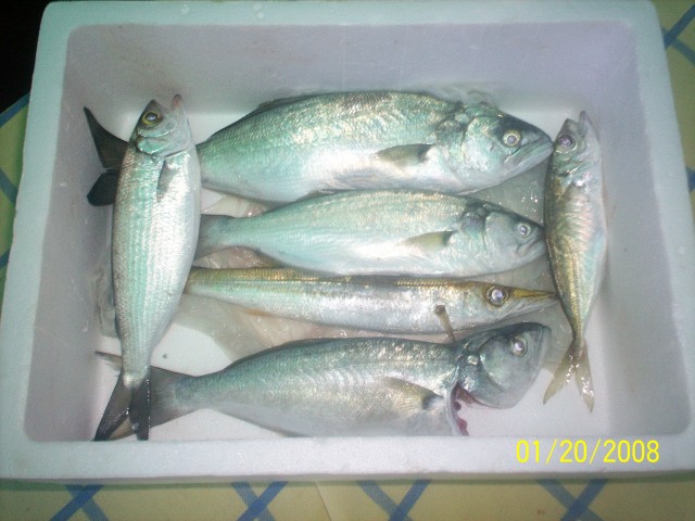 Last night at mindarie Last night at mindarie