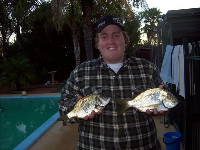 The Two Bream