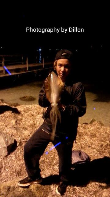 PB LB Squid 35cm hood PB LB Squid 35cm hood