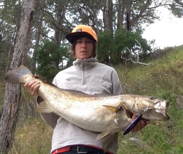 My brothers 1m+ stickbait caught mulloway My brothers 1m+ stickbait caught mulloway