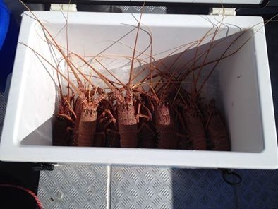 First Pot today First Pot today