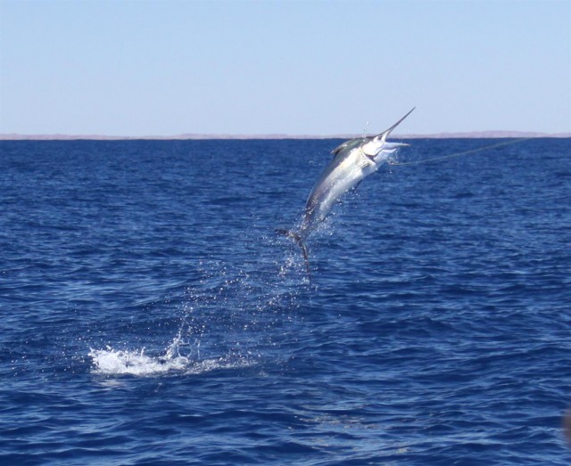 K-town billy K-town billy