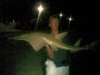 good shovel nose shark, caught off perth metro beach last  night.