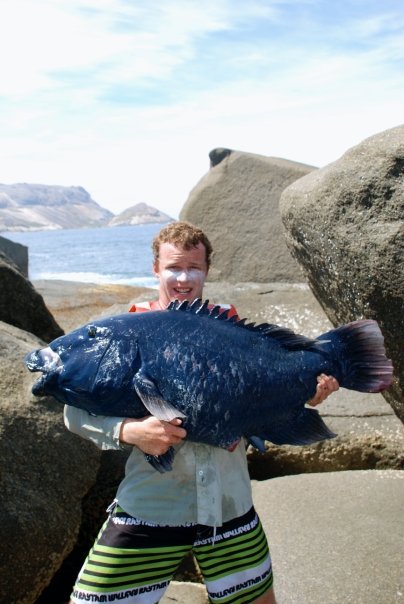 Poor old big blue Poor old big blue