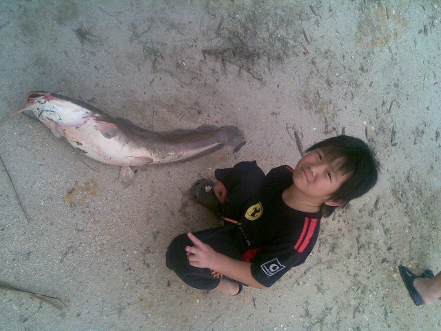 catfish we caught in malaysia