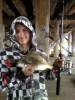 Canning bridge bream on crabs