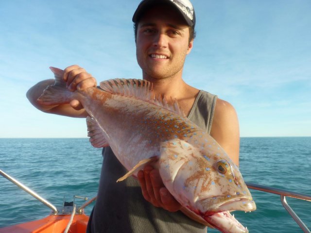 Broome Coral Trout