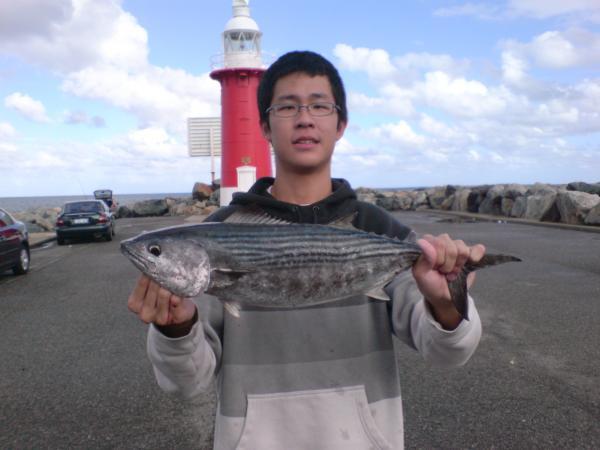 1_573092918l.jpg 1_573092918l.jpg