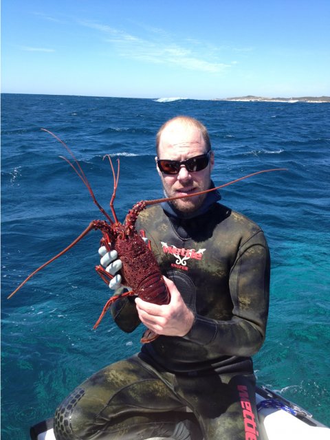 1st Cray for the season - and on breathhold. 1st Cray for the season - and on breathhold.