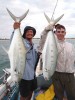 Pair of Cape York queenfish