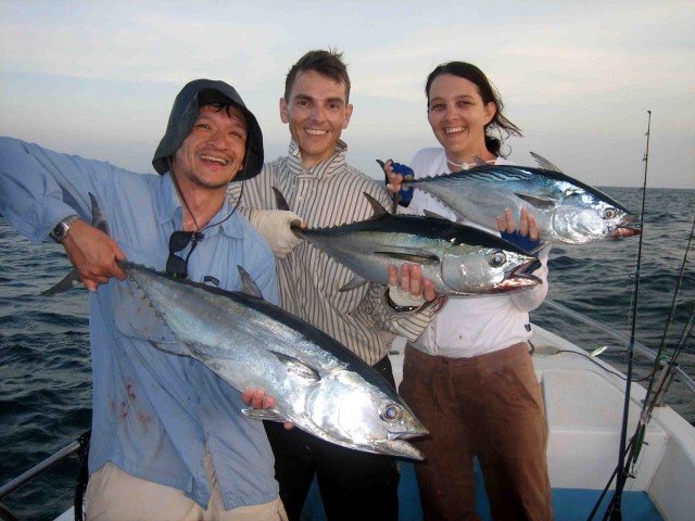 Cape York tuna triple