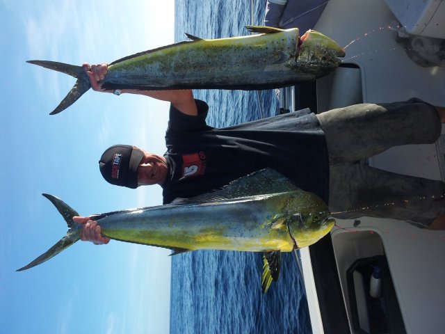 DOLLIES :) DOLLIES :)