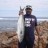 quobba taylor