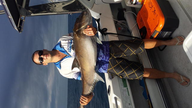 jigging jigging