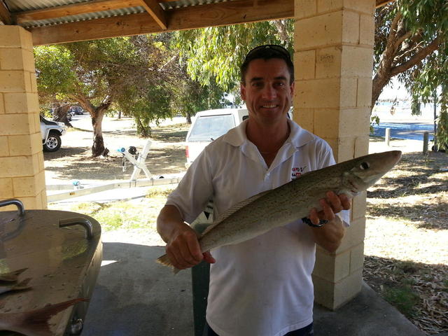 King George Whiting