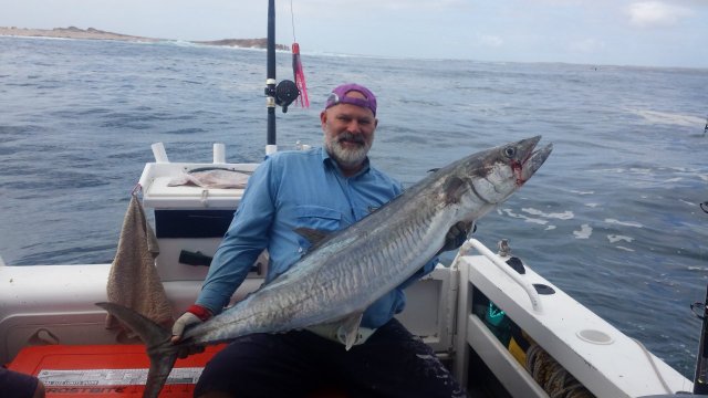 POTM consideration please - 141 cm spaniard POTM consideration please - 141 cm spaniard