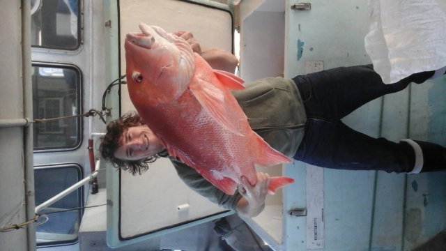 12.9kg Red Emperor 12.9kg Red Emperor