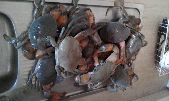 Muddies for days Muddies for days