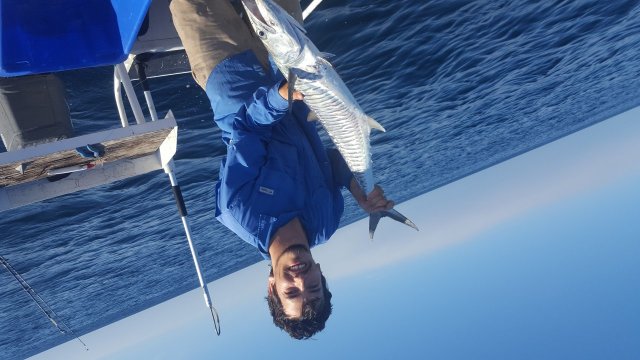 Mackeral save the day Mackeral save the day