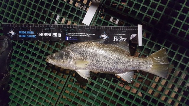Christened my new reel Christened my new reel