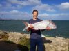 North mole pink snapper