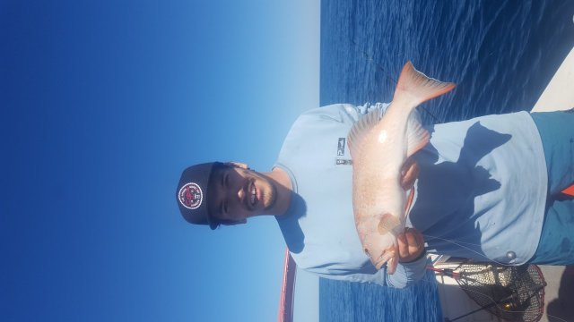 nice trout for the day nice trout for the day
