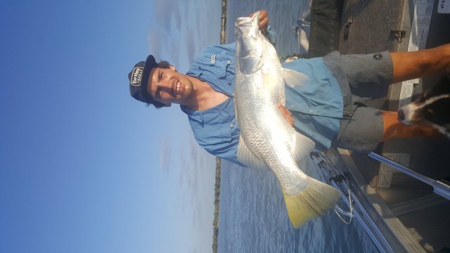 First fish on the structure scan
