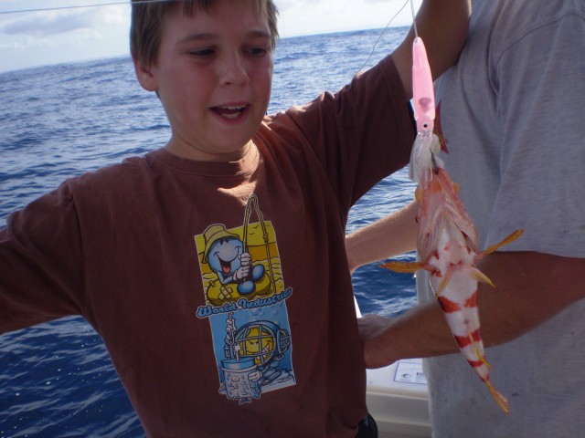 my first baby harlie my first baby harlie