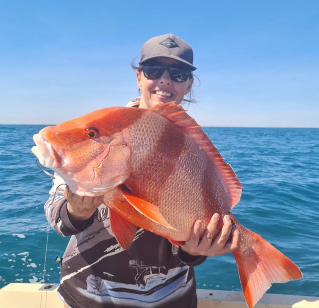 Red from 12m on 20lb Red from 12m on 20lb