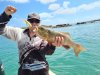 Dinner plate trout