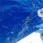 Blue Marlin PGFC Comp Blue Marlin PGFC Comp