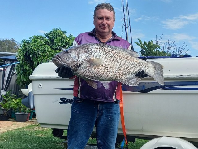 Nice Dhufish Nice Dhufish
