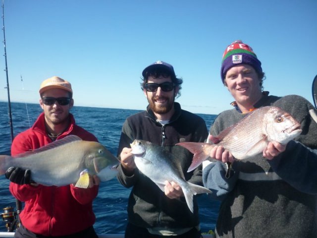 One Drift, 3 fish. One Drift, 3 fish.