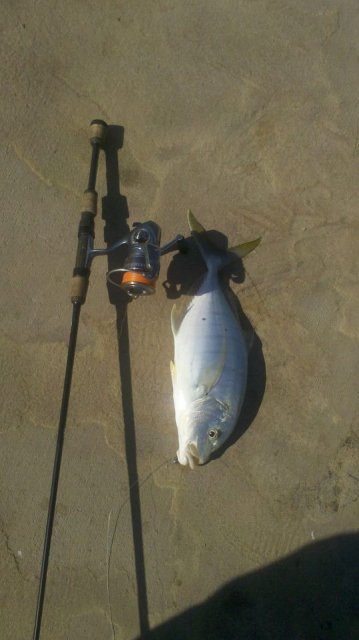 little golden little golden