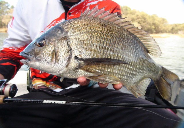 Winter Vibe Winter Vibe