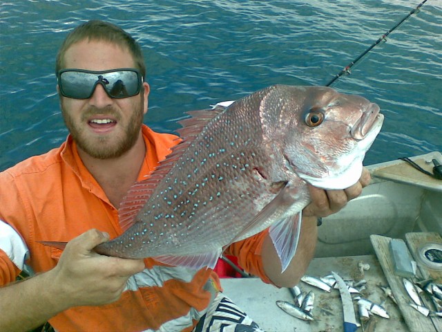 Pinkie on the 3 mile Pinkie on the 3 mile