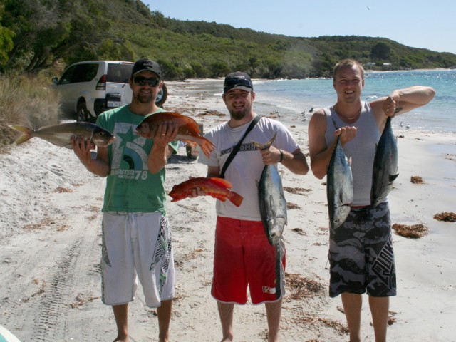 Fish Fish